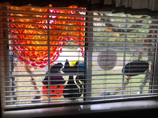 A view through the blinds showcasing colorful birds perched outside.