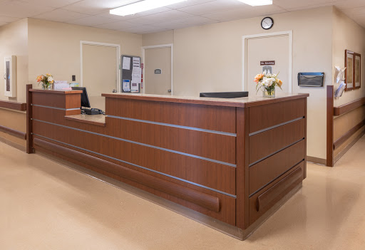 A view of a modern reception area featuring a wooden front desk and an inviting atmosphere.