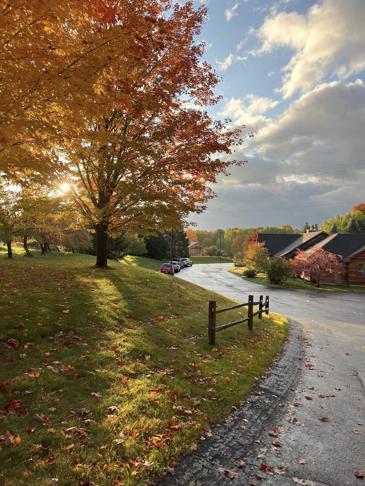 A picturesque suburban street adorned with vibrant autumn foliage under a partly cloudy sky.