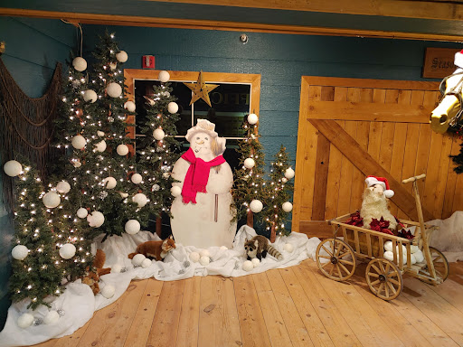 A charming holiday display featuring a snowman and decorated Christmas trees.