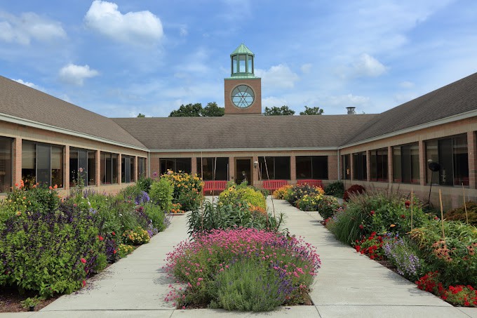 A beautifully landscaped courtyard garden with a central clock tower in the background.