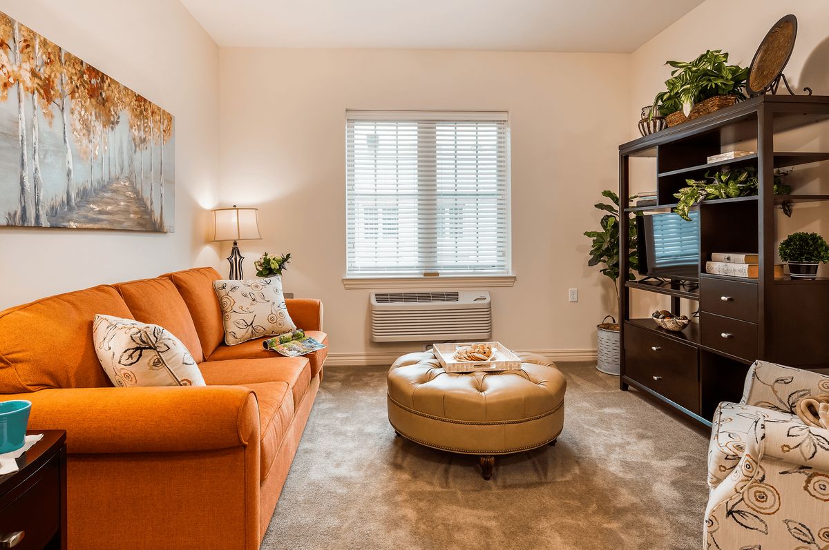 A cozy living room with an orange sofa, a round ottoman, and a TV stand adorned with indoor plants.