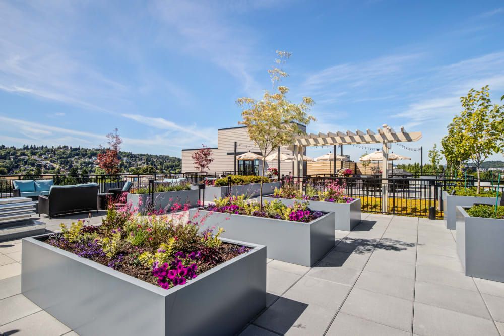 Merrill Gardens at Renton Centre
