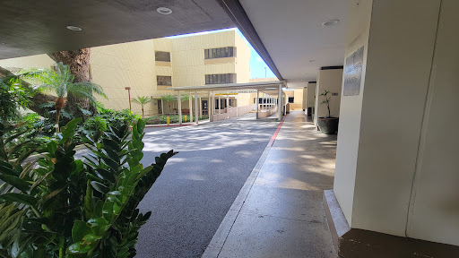 A view of a building entrance with a clear pathway and lush greenery.
