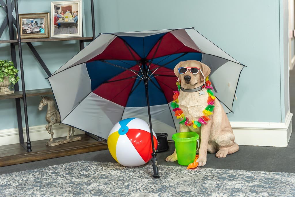 A dog dressed for summer fun, sitting with an umbrella, beach ball, and colorful leis.