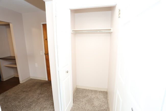 An empty white closet with an open door in a home interior.