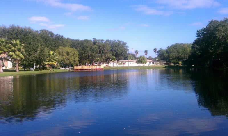 A serene view of a lake surrounded by trees under a clear blue sky.