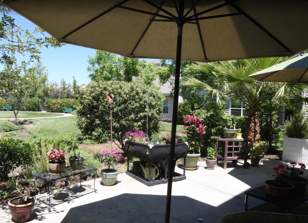 A sunny backyard patio with a grill, surrounded by lush greenery and colorful flowers.