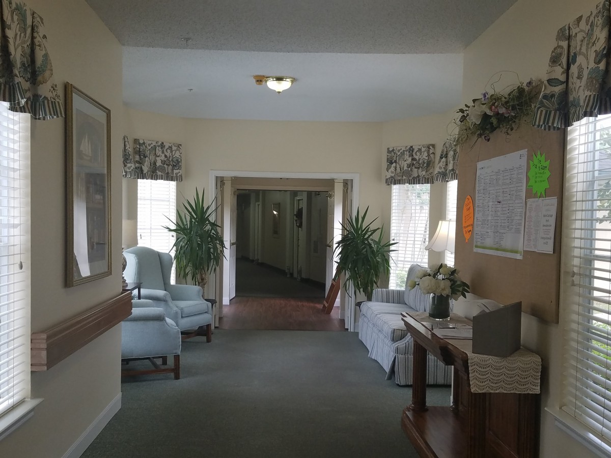 A cozy hallway with chairs, plants, and natural light.