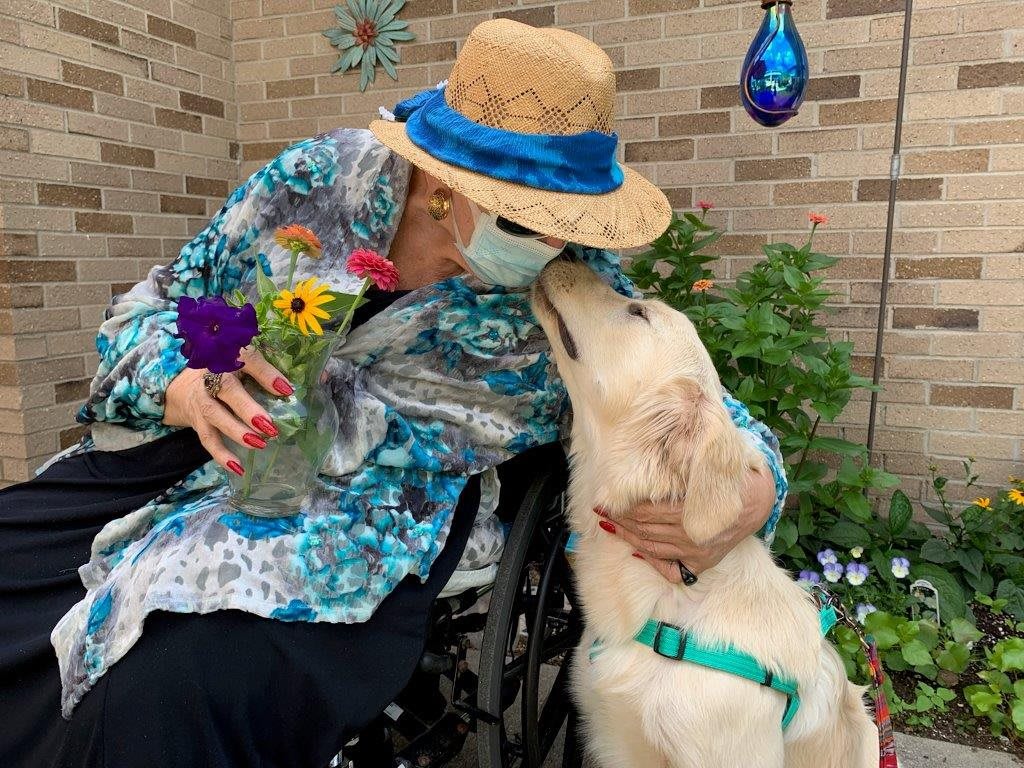 An elderly woman in a wheelchair, wearing a hat and mask, receives a friendly gesture from a dog while holding flowers.