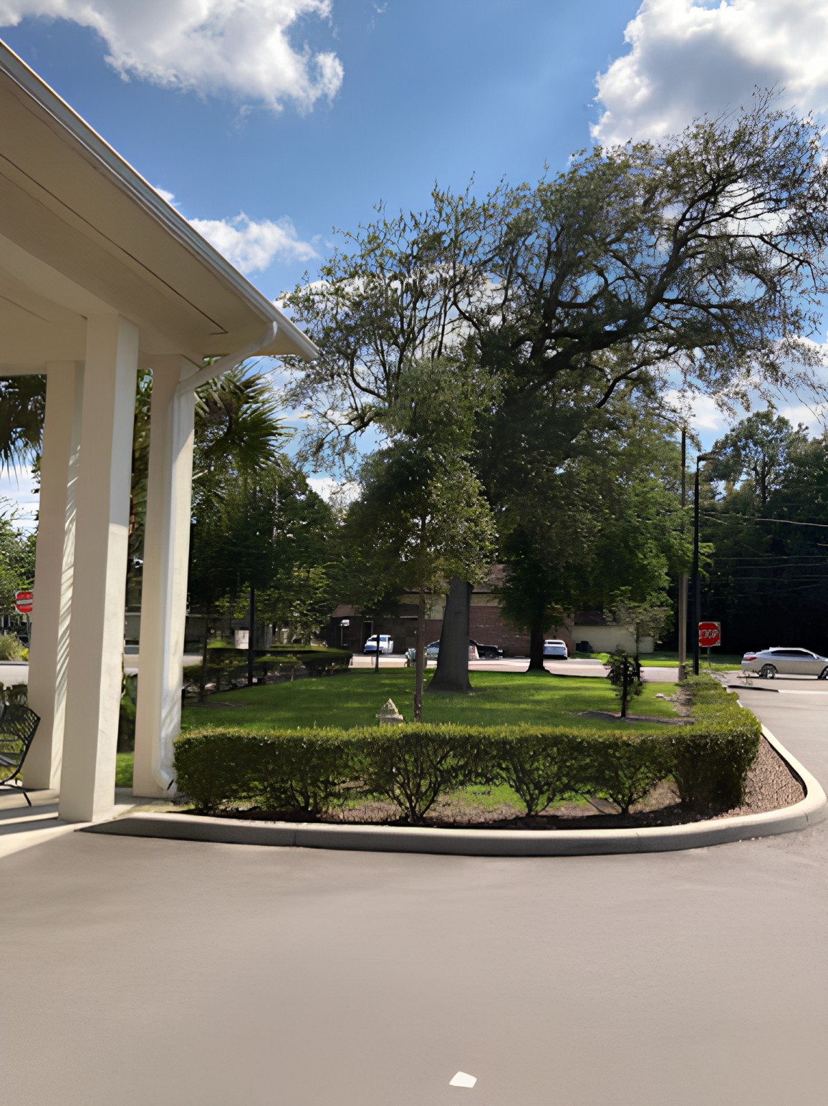 A view of a driveway adjacent to a building, surrounded by trees and greenery under a clear blue sky.