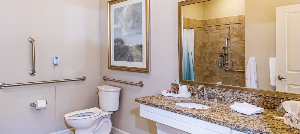 A well-decorated bathroom featuring a toilet, sink with a granite countertop, mirror, artwork on the wall, and a shower area with a curtain.