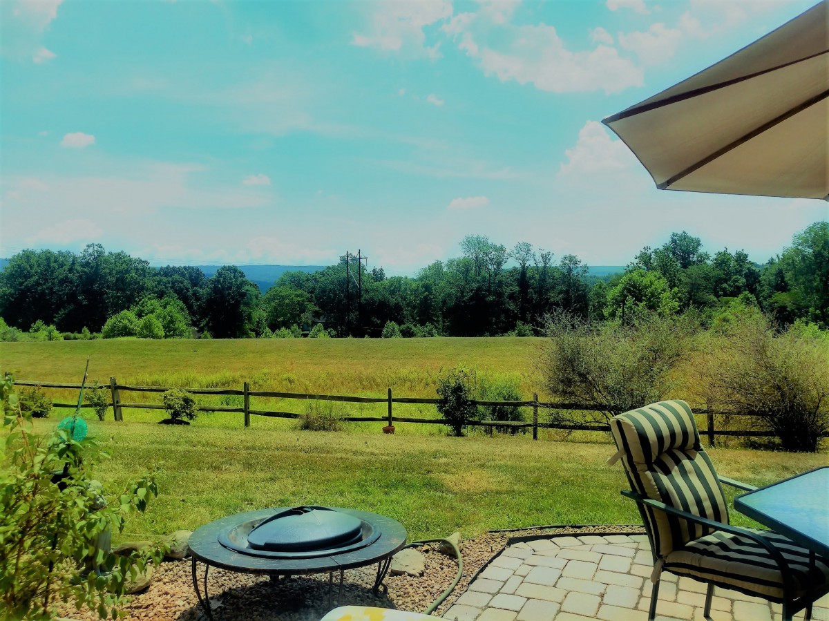 A tranquil patio overlooking a lush, green landscape with trees and a field in the distance.