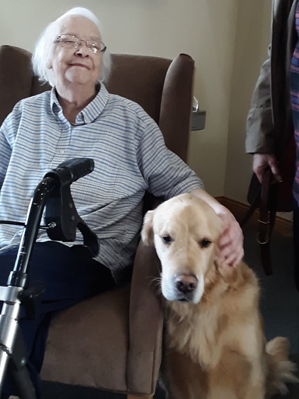 An elderly person sitting in a chair, accompanied by a golden retriever.