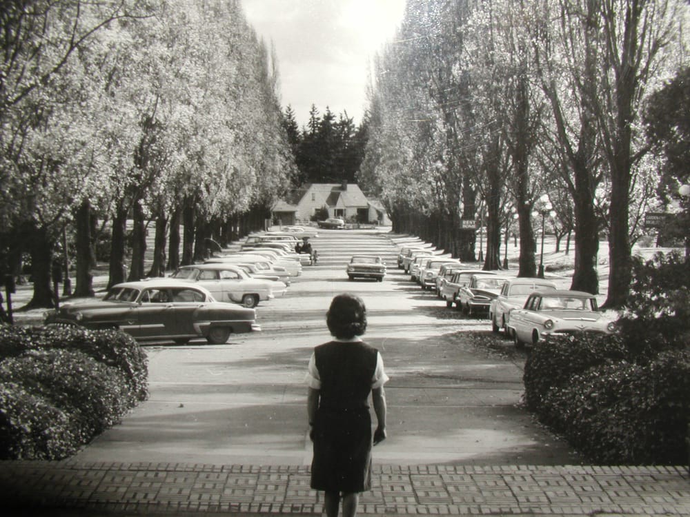 A woman stands on a tree-lined road, surrounded by parked vintage cars.