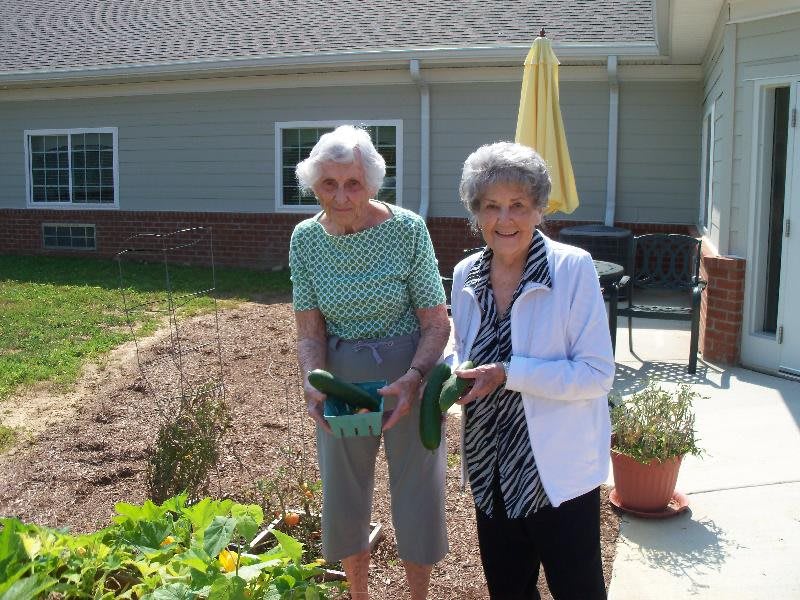 Two elderly women harvesting vegetables in a garden.