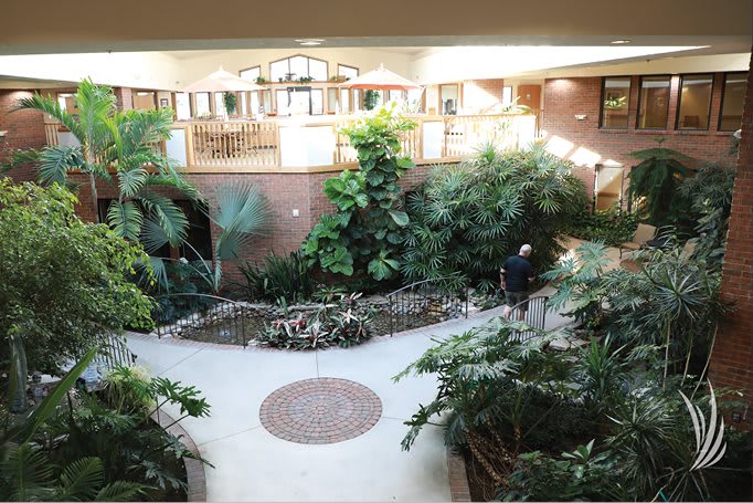 A spacious indoor atrium filled with lush greenery and plants.