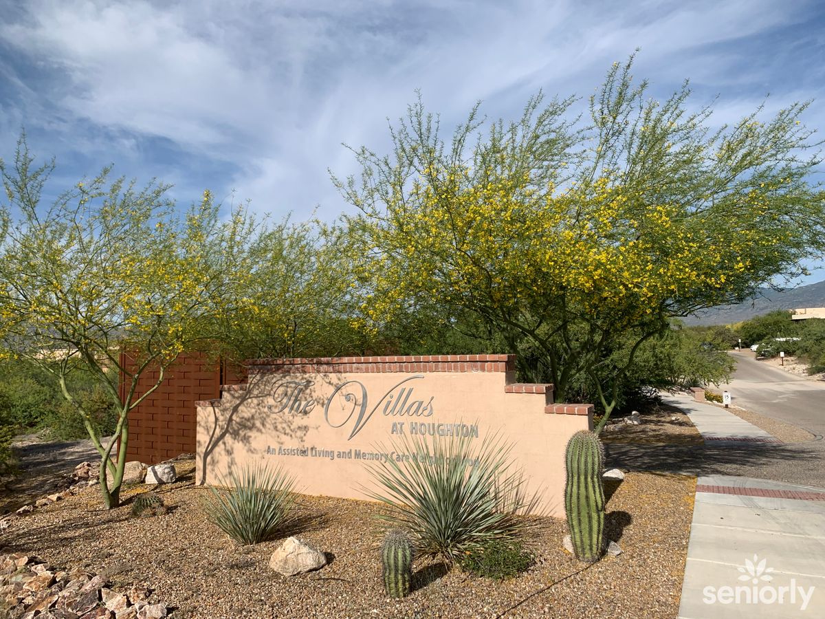 A sunny desert landscape with a sign surrounded by cacti and shrubs.