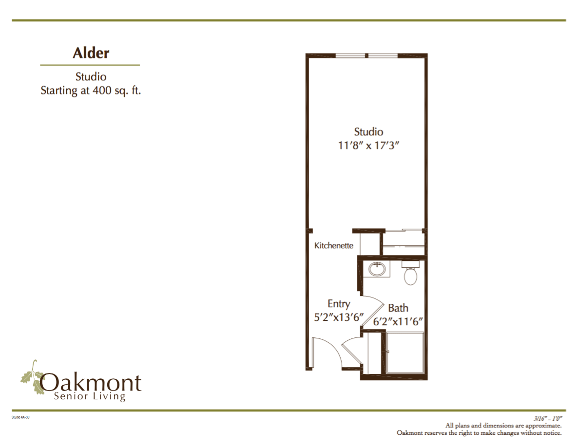 This is a floor plan for a studio apartment named 'Alder' with a total area of 400 square feet.