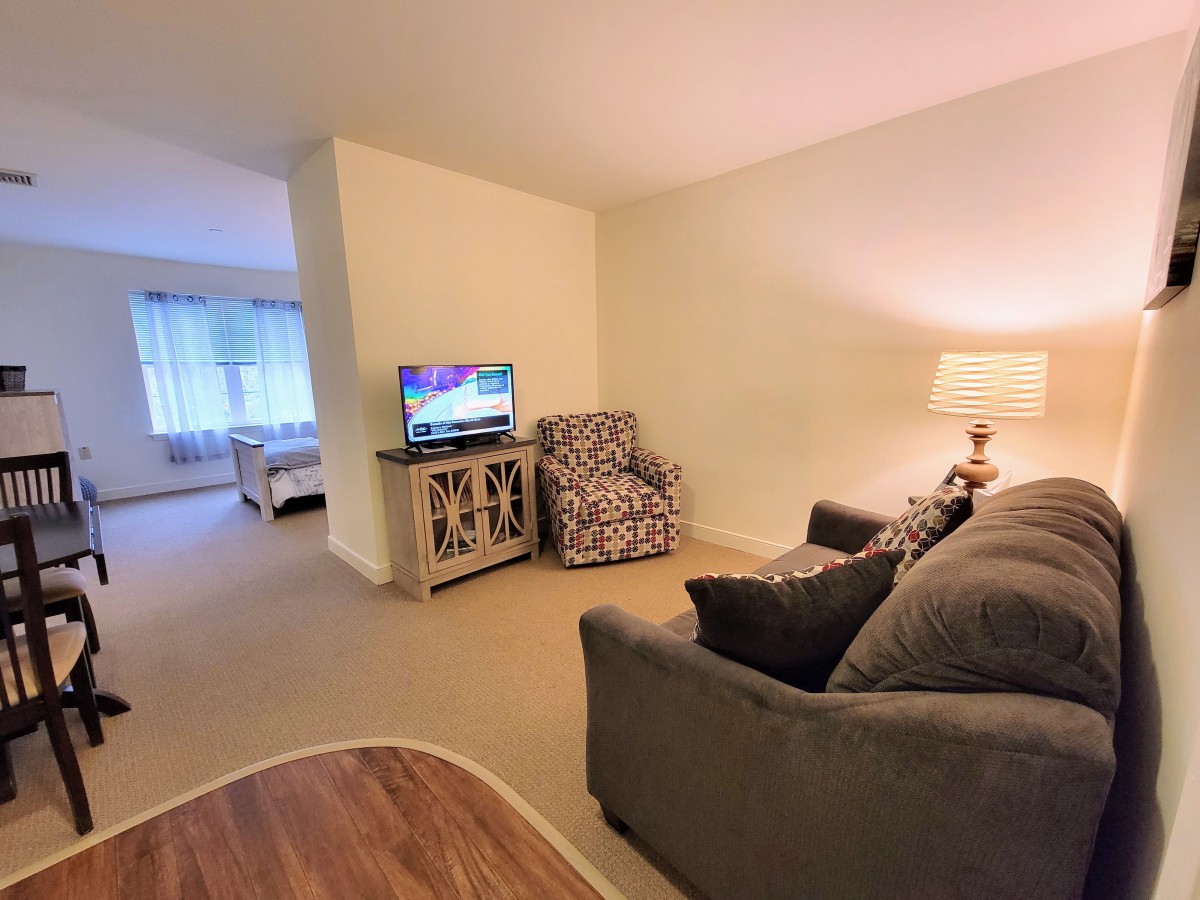 A cozy living room with a sofa, armchair, and a television.