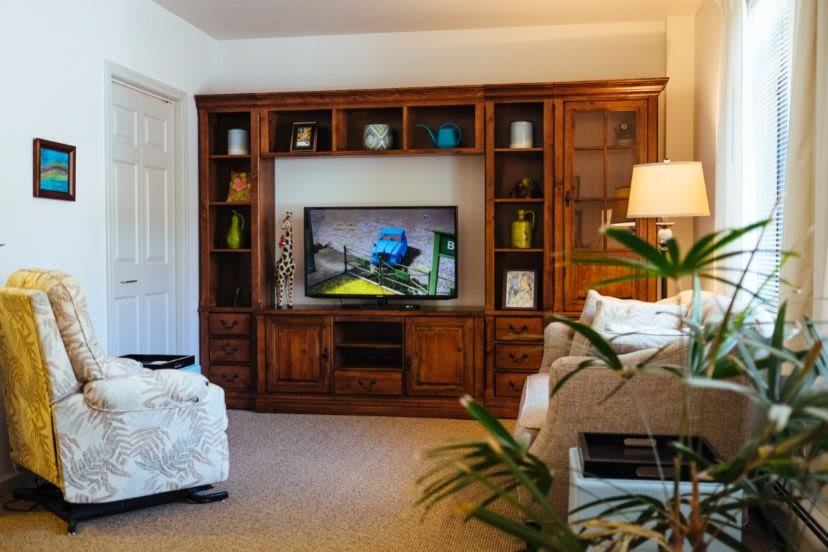 A cozy living room with a wooden entertainment center and a television surrounded by decorative shelves, lamps, and plants.