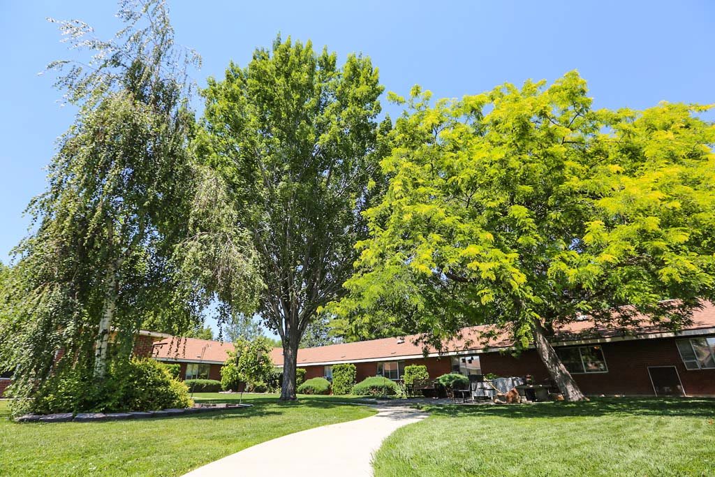 A sunny day featuring a pathway surrounded by trees and a building.