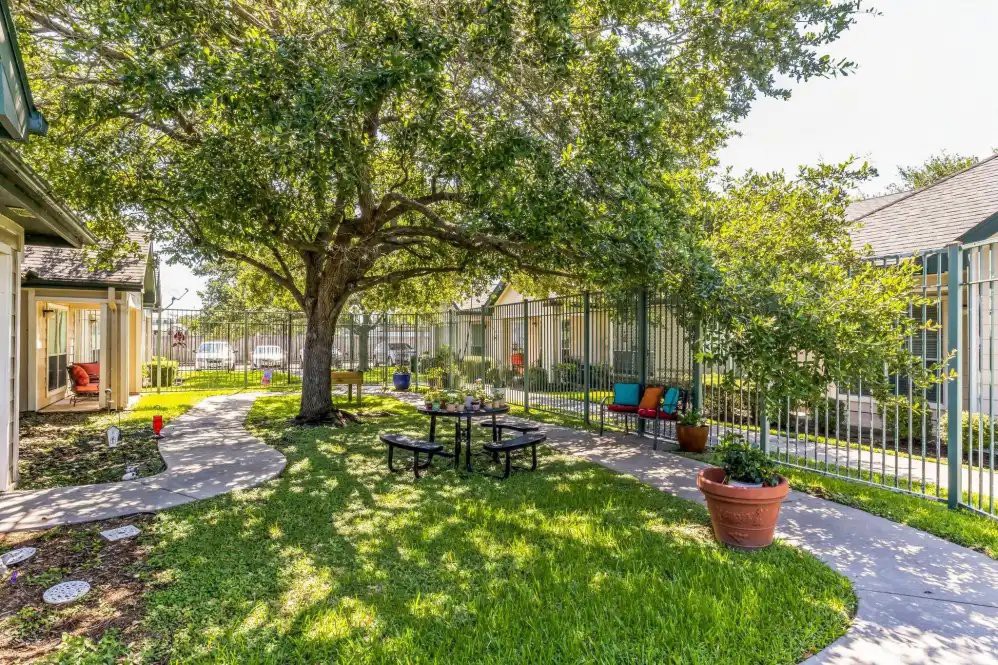 A serene park setting with a large tree providing shade over a bench and vibrant potted plants.