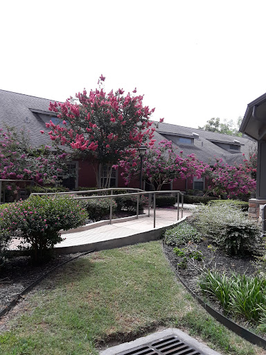 A serene garden pathway lined with vibrant flowering trees, leading towards a building.