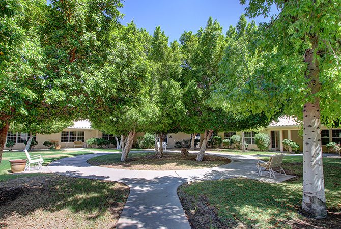 A peaceful residential area with lush green trees and winding pathways.