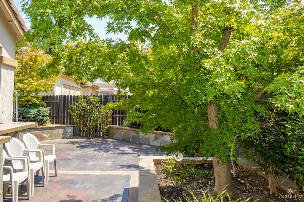 A sunny backyard garden with a large tree, patio area, and wooden fence.