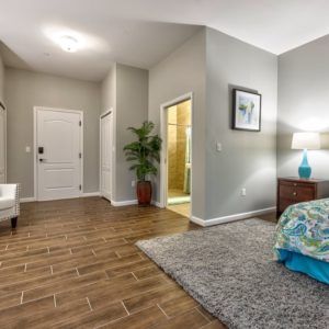 A modern bedroom featuring hardwood floors, a cozy rug, and stylish decor.