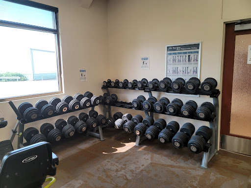 A well-organized rack of dumbbells in a gym, ready for weight training.
