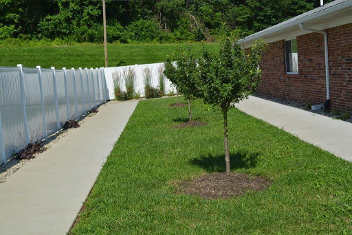A well-maintained garden area featuring a small tree, green grass, and a clean pathway.