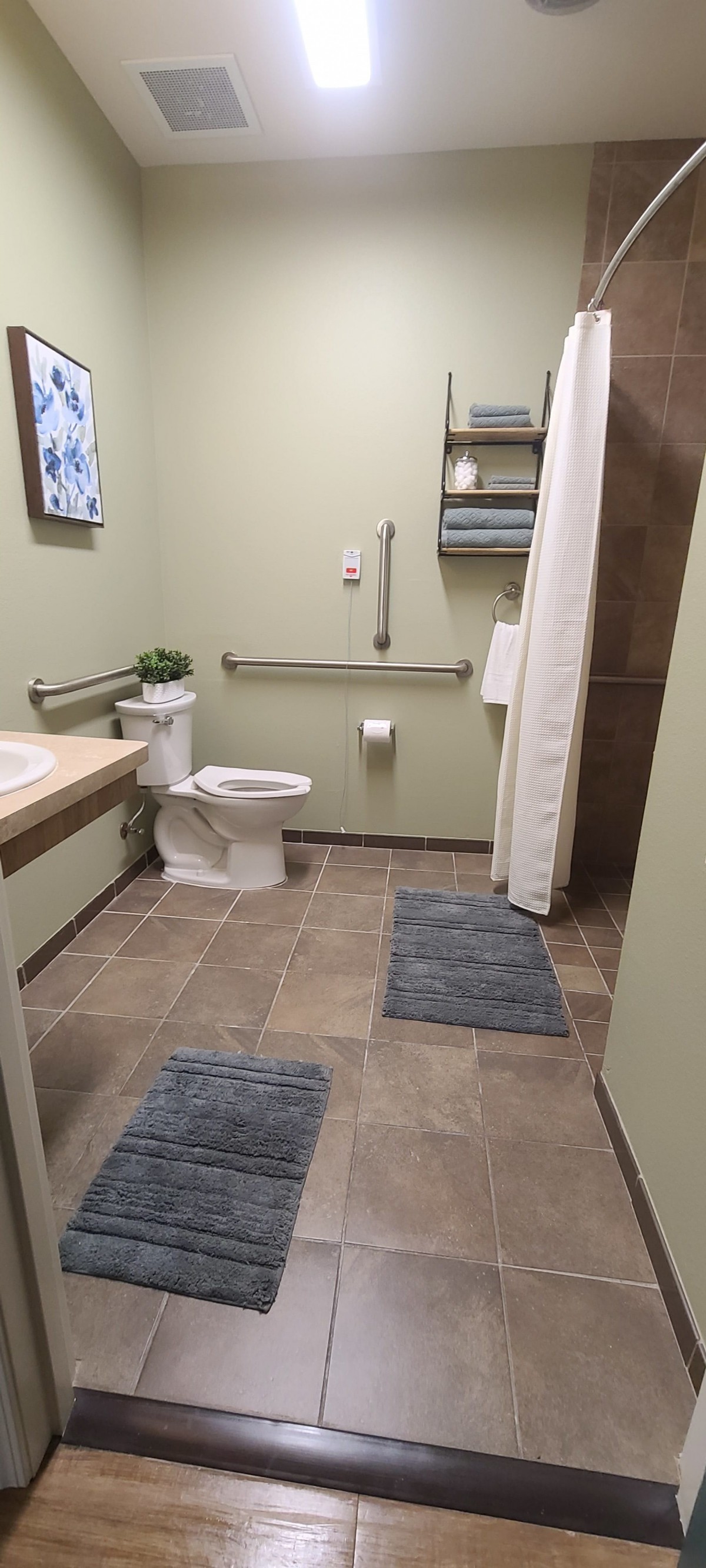 An accessible bathroom with a toilet, sink, and shower, equipped with grab bars and floor mats.