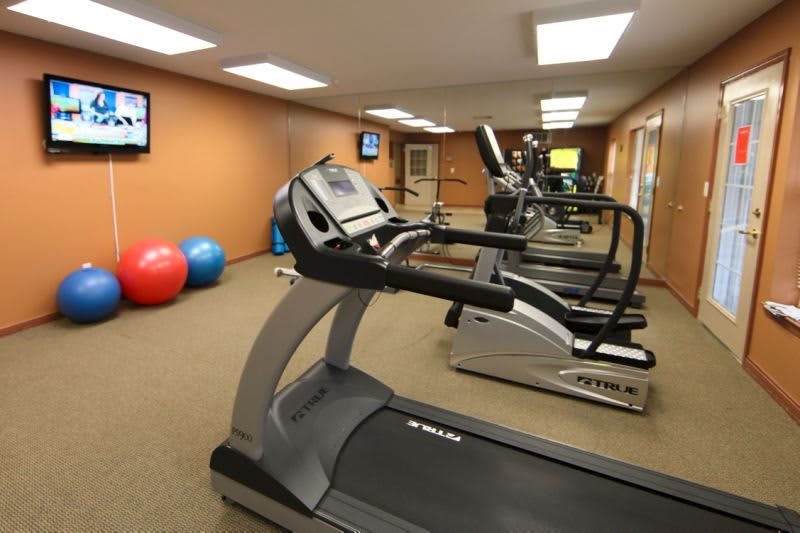 A well-equipped gym with treadmills and exercise balls.