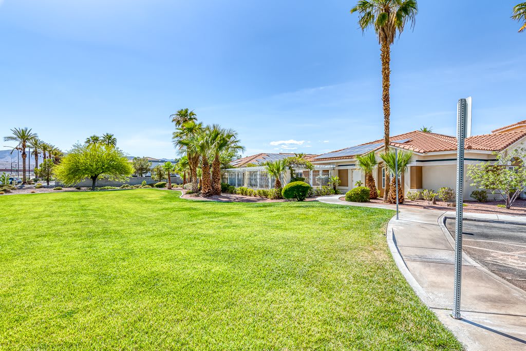 A beautiful suburban house with a well-maintained lawn and palm trees on a sunny day.