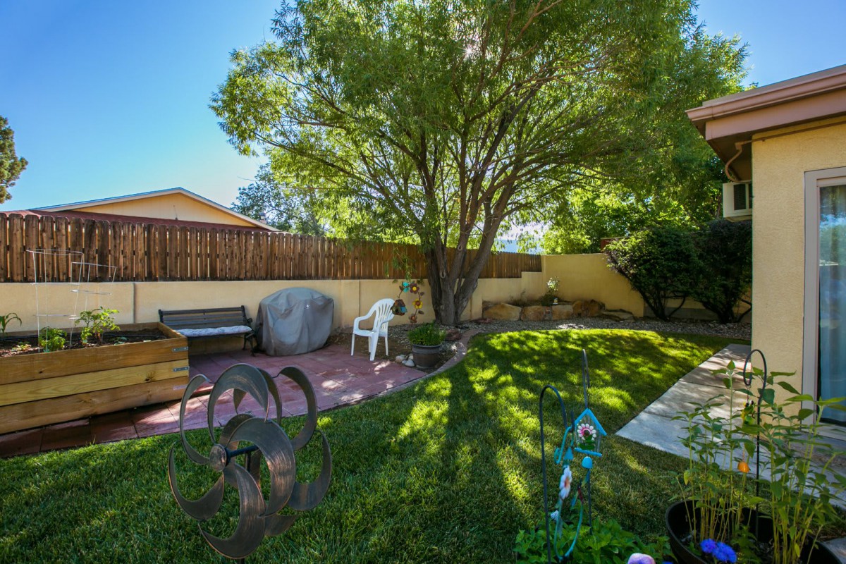 A sunny backyard garden with lush grass, a large tree providing shade, and a cozy outdoor seating area.