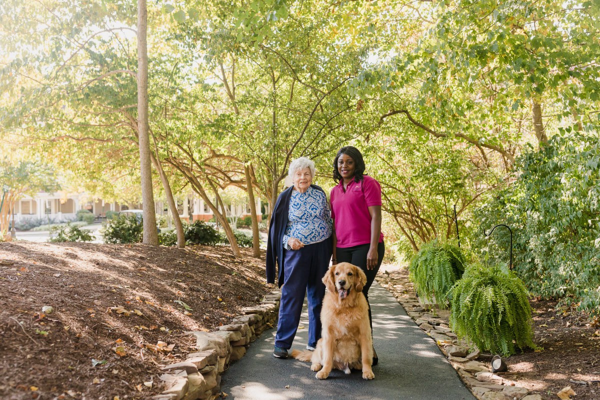 Two people walking a dog on a tree-lined path in a park.