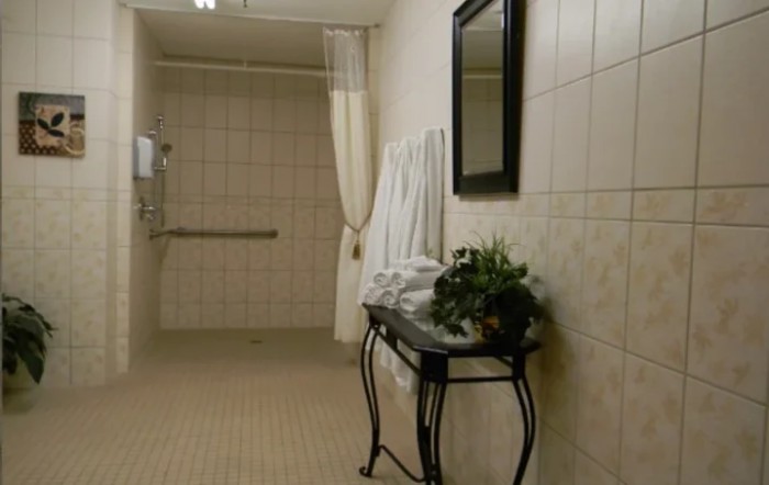 A tiled bathroom featuring a shower area, mirror, and decorative towels.