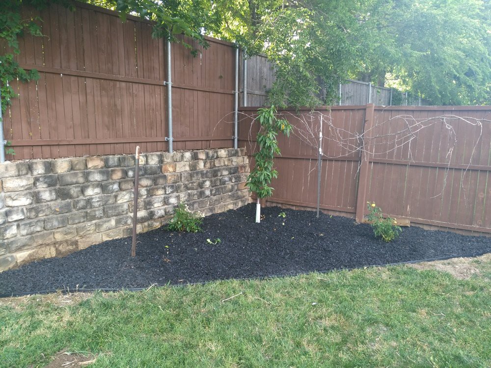 A neatly landscaped corner of a backyard featuring a wooden fence, stone accent wall, and newly planted shrubs with mulch.
