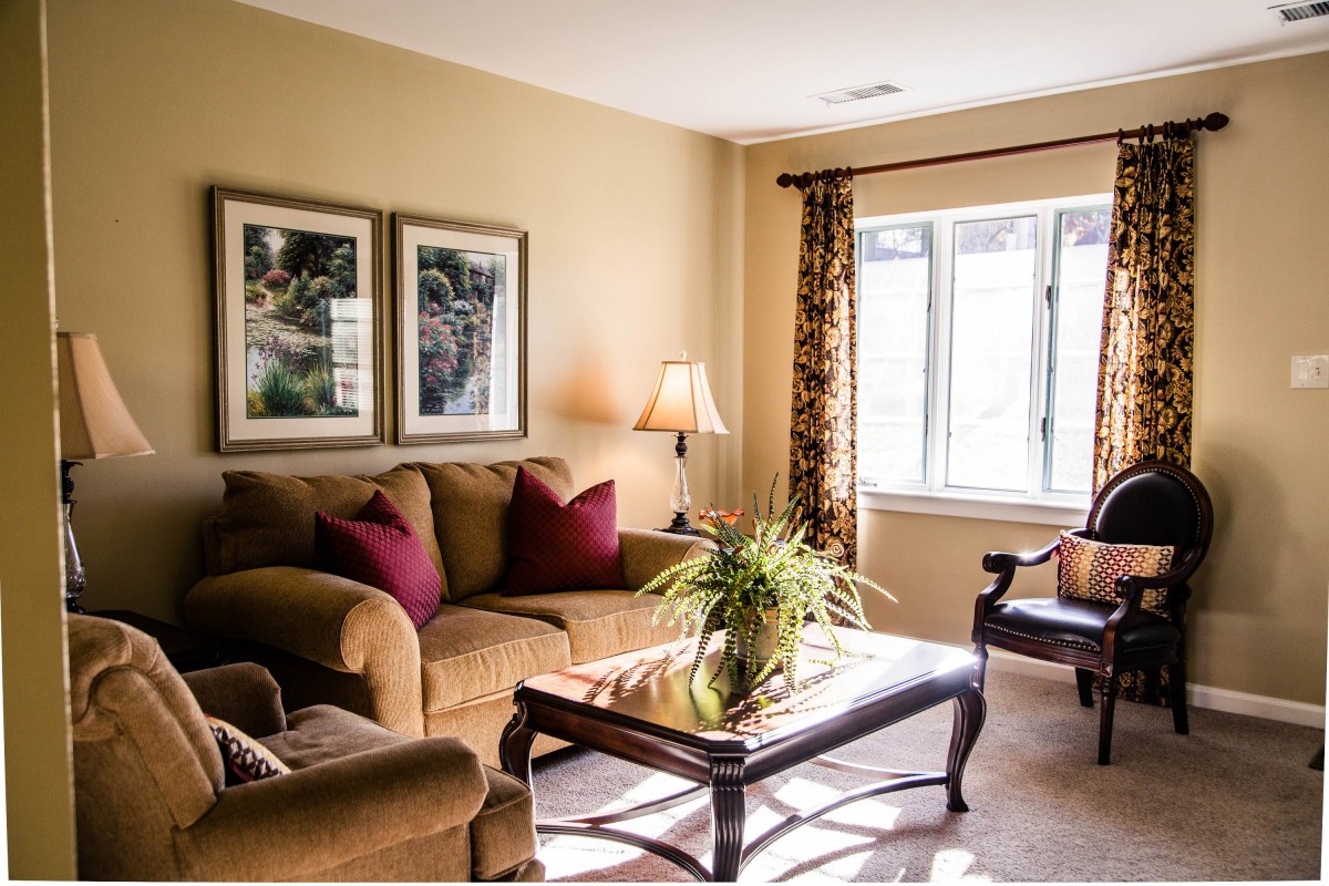 A cozy living room with a sofa, coffee table, and decorative elements.