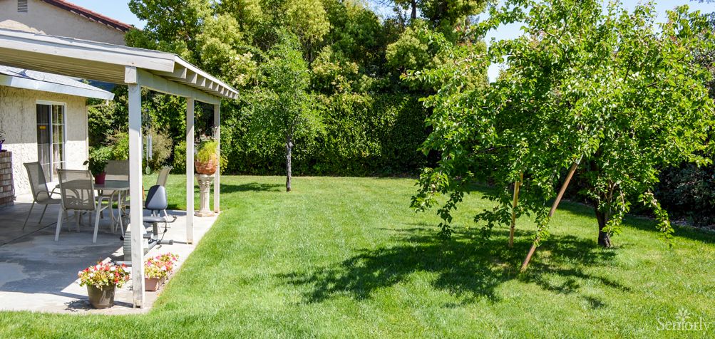 A lush green backyard with neatly trimmed grass and surrounding trees on a sunny day.