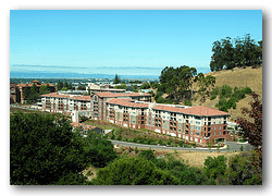 A hillside view of a large residential building complex surrounded by trees with a distant skyline.