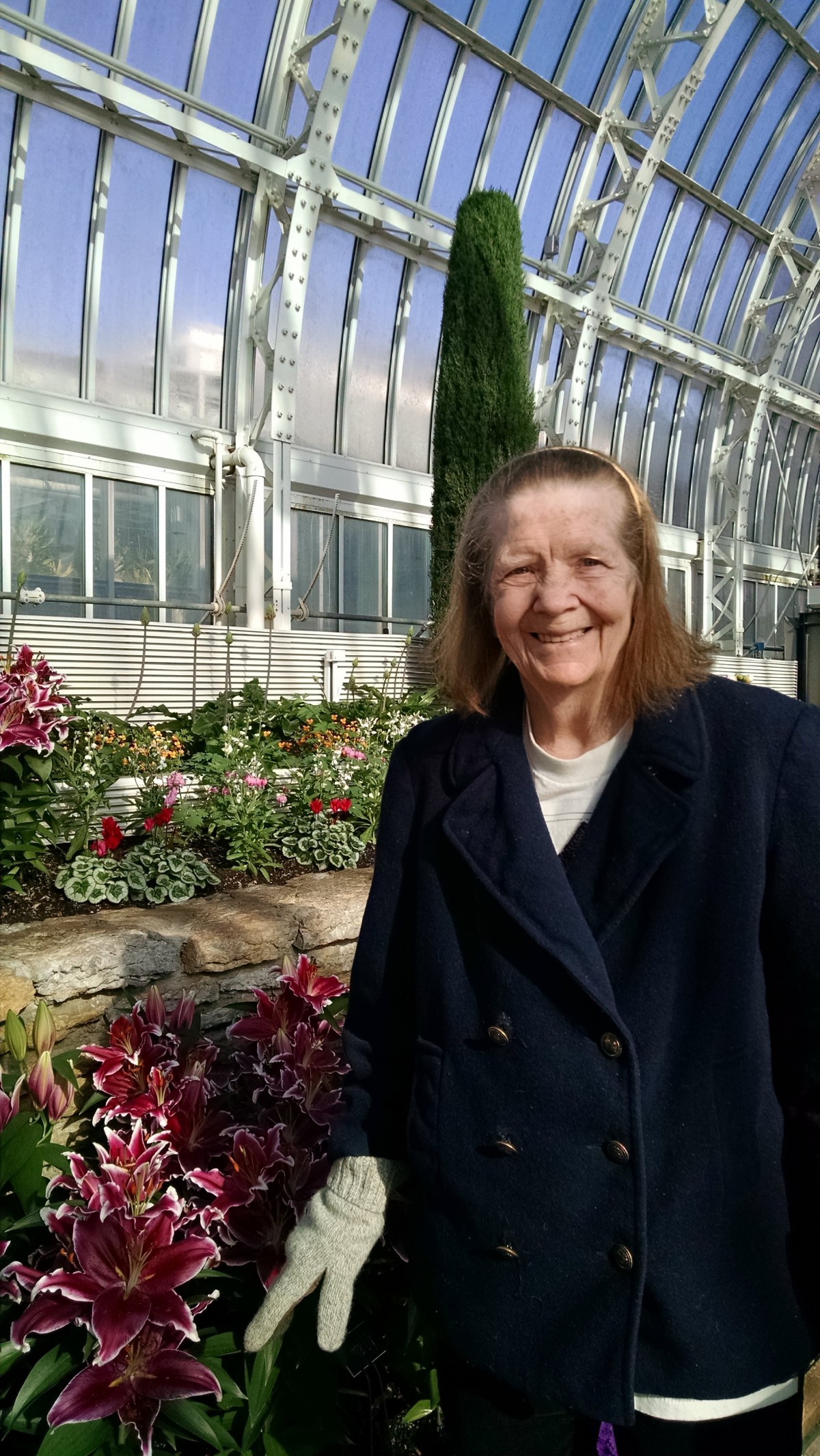 A person standing in a greenhouse surrounded by colorful flowers.