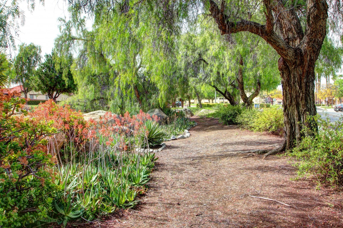 Westmont Village