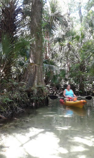 A serene kayaking experience in a lush, tropical waterway surrounded by greenery.