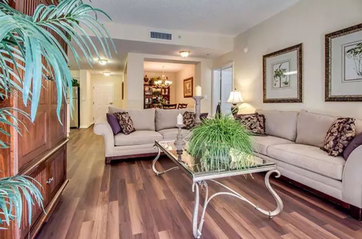 A modern living room featuring comfortable sofas, a stylish coffee table, and decorative elements including plants and wall art.