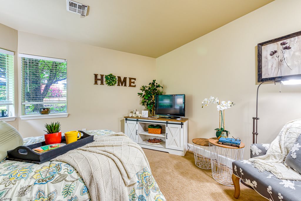 A cozy bedroom with modern decor, featuring a television and greenery.