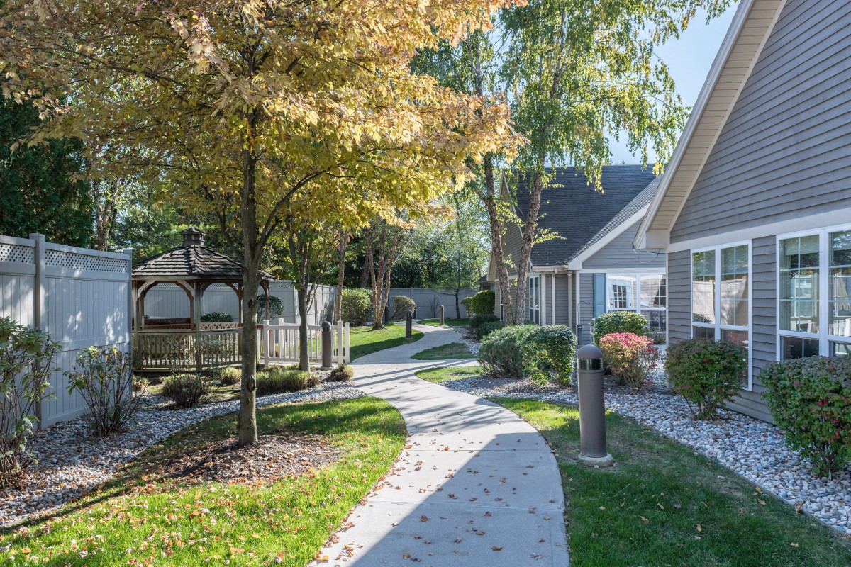A peaceful garden path lined with trees and greenery, leading past a series of houses.