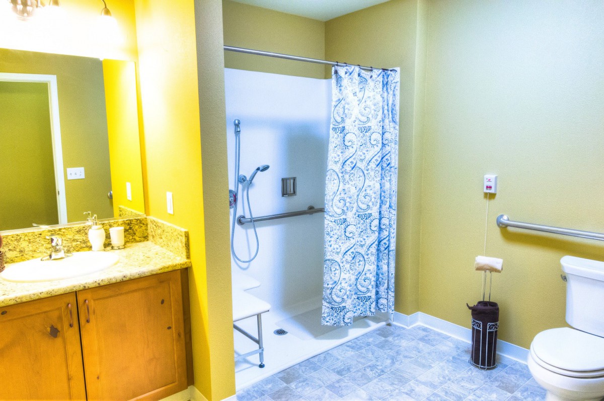 A modern bathroom featuring an accessible shower with a patterned curtain and grab bar.